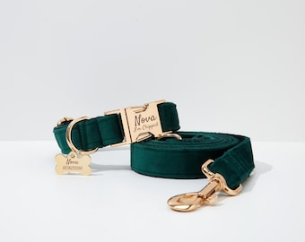 Könnte beinhalten: Ein grünes Samt-Hundehalsband und eine Leine mit goldenen Beschlägen. Das Halsband hat eine goldene Schnalle mit dem eingravierten Text "Nova I'm Chipped". Die Leine hat einen goldenen Haken und ein passendes Schild mit dem eingravierten Text "Nova 9378235150".