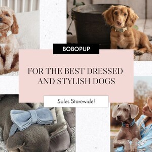 May include: A collage of images featuring dogs wearing stylish collars and accessories. The text "BOBOPUP" and "FOR THE BEST DRESSED AND STYLISH DOGS" is displayed in a pink box. The text "Sales Storewide!" is displayed in a white box.