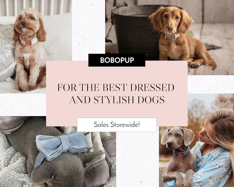 May include: A collage of images featuring dogs wearing stylish collars and accessories. The text "BOBOPUP" and "FOR THE BEST DRESSED AND STYLISH DOGS" is displayed in a pink box. The text "Sales Storewide!" is displayed in a white box.
