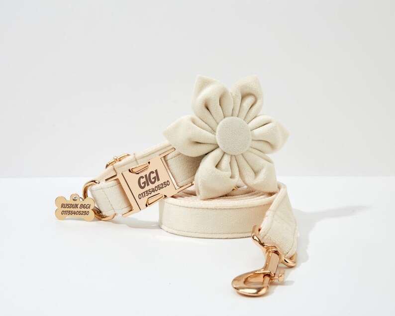 May include: A white velvet dog collar with a gold buckle and a matching lead. The collar has the name "GIGI" and a phone number engraved on it. The lead has a gold clasp. A white velvet flower is attached to the collar.