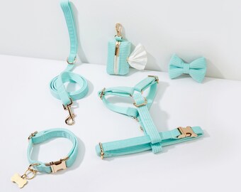 Laisse de harnais pour chien personnalisée en velours côtelé turquoise. Harnais Step in pour garçon et chien. Harnais personnalisé avec nœud pour chiot. Ensemble harnais et laisse avec collier pour chien