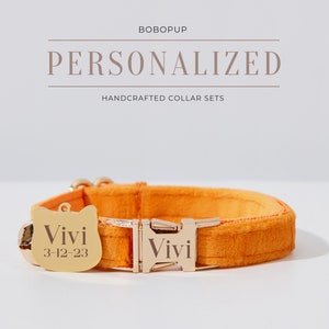 May include: Orange velvet cat collar with a gold buckle and a gold cat-shaped tag engraved with "Vivi 3-12-23".