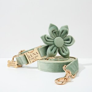 May include: Sage green velvet dog collar and leash set with gold hardware. The collar has a personalized name tag that reads "LUNA CR8 2DW". The leash has a matching flower charm.