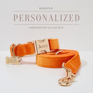 May include: Orange velvet dog collar and leash set with gold hardware. The collar has a personalized name tag that reads "Jerry".