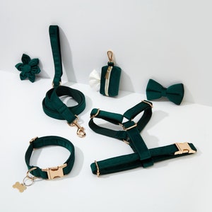 Emerald Velvet Personalised Harness With Gold Hardware,Fancy Velvet Harness Dog Collar and Leash Set for Large Small Puppy, Free Shipping