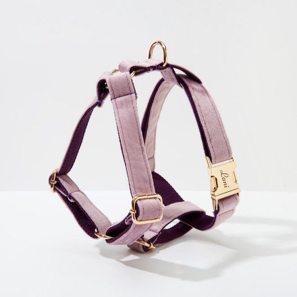 Lavender Velvet Dog Harness, Step in Harness Personalised Gold Hardware Harness for Girl Puppy, Dog Collar Harness and Leash Set