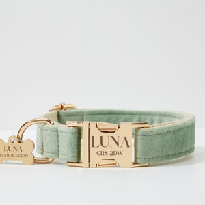 May include: A light green velvet dog collar with a gold buckle and a matching gold dog tag engraved with the name "LUNA" and the address "CR8 2DW".