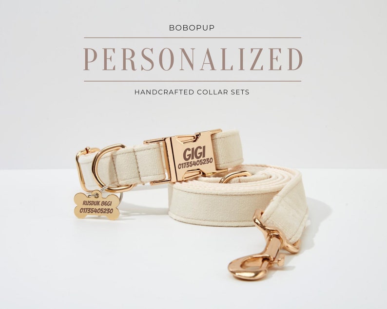 May include: A white canvas dog collar and lead set with gold hardware. The collar has a gold buckle with the name "GIGI" and phone number "01755405230" engraved on it. The lead has a gold hook.