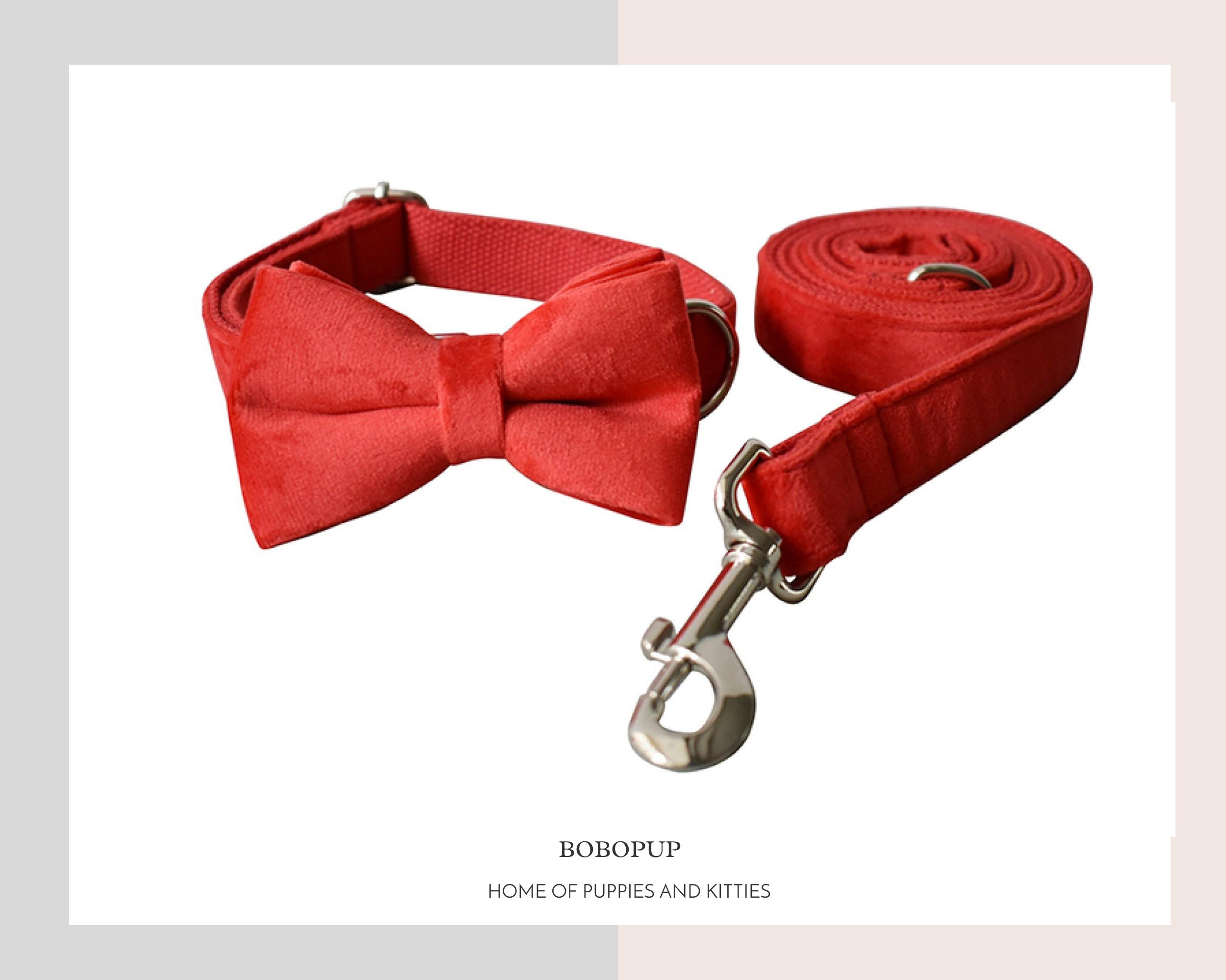 Personalized Red Velvet Dog Collar and Leash Free Name Laser Etsy