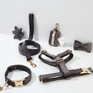 Può includere: Un set di accessori per cani in velluto grigio che comprende un collare, un guinzaglio, un'imbracatura, un papillon e un porta sacchetti per la cacca. Gli accessori hanno dettagli dorati.