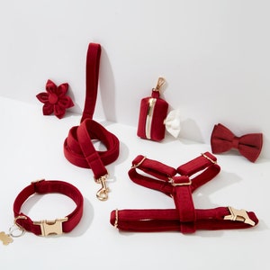 Bordeaux fluweel gepersonaliseerd harnas met gouden hardware, fancy fluwelen harnas halsband en riem set voor grote kleine puppy, gratis verzending