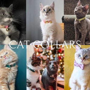 May include: A collection of cats wearing different cat collars. The collars are in various colors, including pink, green, and light blue. Some collars have a bell attached. The text "CAT COLLARS" is displayed in the center of the image.