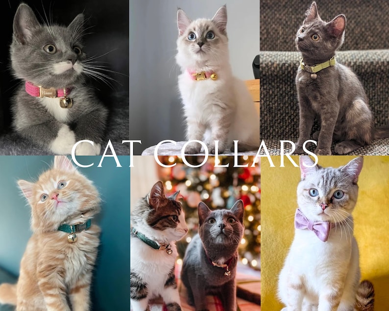 Personalized Velvet Cat Collar Leash Set, Engraved Kitties Collar Leash, Engraved Gold Cat Tag,Handmade Luxury Cat Collar for Puppy Collar image 7