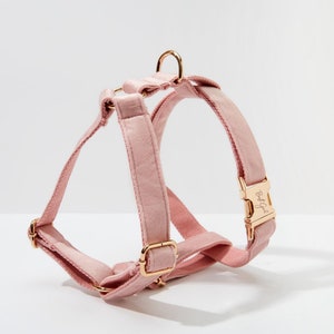 Baby Pink Velvet Personalized Harness With Gold Hardware,Fancy Velvet Harness Dog Collar and Leash Set for Large Small Puppy, Free Shipping image 2