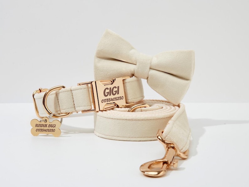 May include: A white velvet dog collar and lead set with gold hardware. The collar has a gold buckle with the name "GIGI" and phone number "01735405230" engraved on it. The lead has a gold hook and a matching tag with the same information.