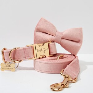 May include: Pink velvet dog collar and leash set with gold hardware. The collar has a gold buckle with the text "Best Girl" engraved on it. The leash has a gold hook. The set also includes a pink velvet bow tie and a gold bone-shaped tag with the text "Stella 07534082038".