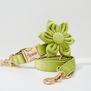 Lime Velvet Personalize Dog Collar Leash Flower Bow for Small Medium Large Pet,Custom Puppy Collar Leash Flower For Wedding Puppy Gift