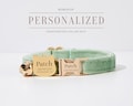 Personalized Sage Green Velvet Cat Collar with Engraved Name Tag,Handmade Kitten Collar and Leash Set,Perfect Christmas Gift,Wedding Gift product logo