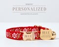 Handmade Non-Breakaway Cat Collar Leash For Christmas Gift,Fancy Puppy Collar As Christmas Gifts For Her,Customized Red Cat Collar For Her product logo