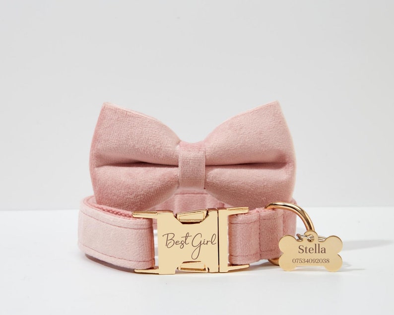 Baby Pink Velvet Personalized Harness With Gold Hardware,Fancy Velvet Harness Dog Collar and Leash Set for Large Small Puppy, Free Shipping image 3