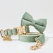 see more listings in the Bowtie Collar Leash section