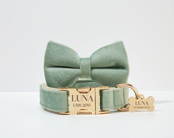 Sage Green Velvet personalisierte Hundehalsband Bowtie Blume, Grün Mint Dicker Samt Hochzeit Hundehalsband und Leine, kundenspezifisches Hündchen Halsband Set