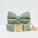 see more listings in the Bowtie Collar section