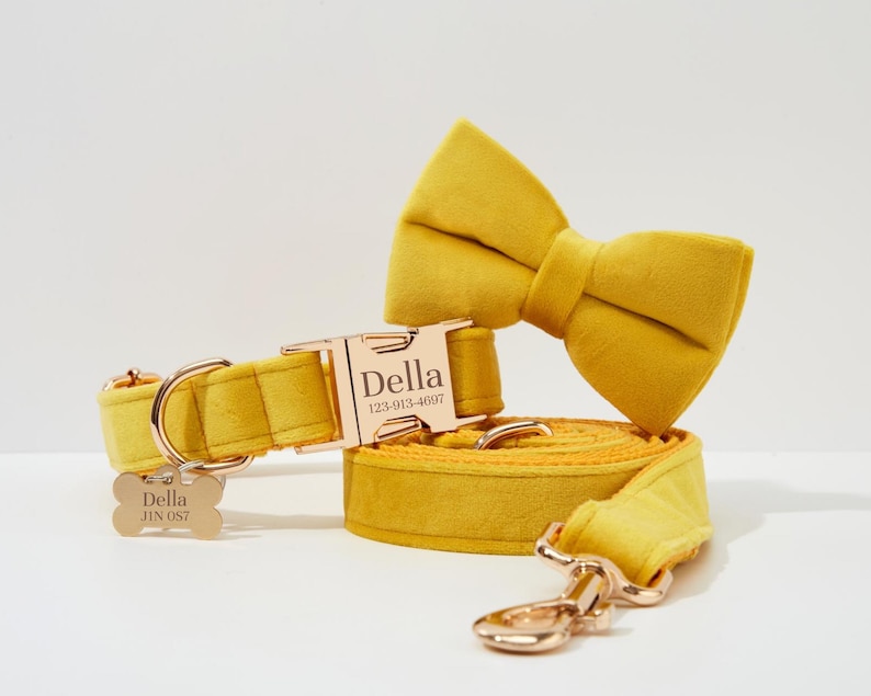 Personalized Bow tie Dog Collar and Leash Set, Luxury Yellow Velvet Collar, Custom Puppy Name Engraved Collar on Metal Buckle image 2