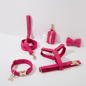 Peut inclure: Un harnais, une laisse, un collier et un porte-sac à crottes pour chien de couleur rose avec des accessoires dorés. L'ensemble comprend également un nœud papillon rose.