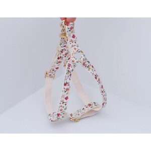 May include: A white dog harness with a floral pattern. The harness has gold-colored hardware and adjustable straps.