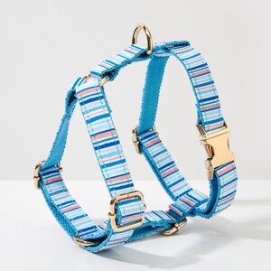 May include: A blue and white striped dog harness with gold-colored metal hardware. The harness features a striped pattern in shades of blue and coral. The harness has adjustable straps and a buckle closure.