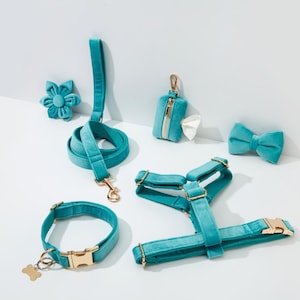 Könnte beinhalten: Ein blaues Samt-Hundegeschirr, eine Leine, ein Halsband, eine Fliege und eine Blume in Teal. Das Set beinhaltet einen goldfarbenen Hundebeinkettenanhänger, einen Kotbeutelhalter und eine goldfarbene Schnalle.
