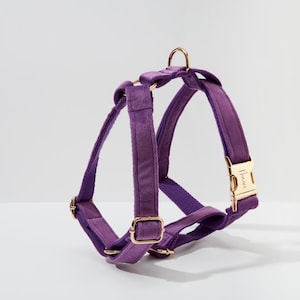 Purple Velvet Personalized Harness With Gold Hardware,Fancy Velvet Harness Dog Collar and Leash Set for Large Small Puppy, Free Shipping