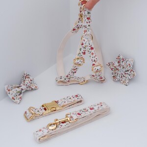 May include: A floral dog harness, leash, and bow tie set. The harness and leash are white with a floral pattern and gold hardware. The bow tie is a matching floral pattern.