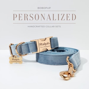 May include: A light blue velvet dog collar and lead set with gold hardware. The collar has a personalised name tag that reads "Ralph I'm chipped". The lead has a gold hook.