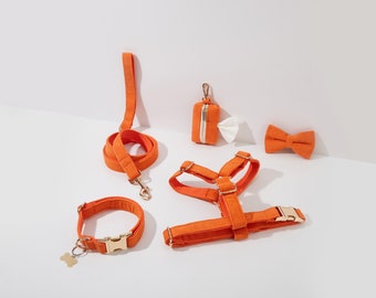 May include: A set of orange dog accessories including a leash, collar, harness, poop bag holder, and bow tie.