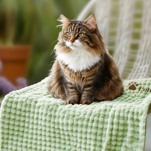 May include: A brown and white tabby cat sitting on a green, textured pet bed with the word "Lotti" embroidered on it.