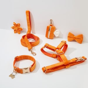 Op de afbeelding: Een set oranje fluwelen hondenaccessoires, waaronder een halsband, een riem, een harnas, een strik en een klein tasje met een rits.
