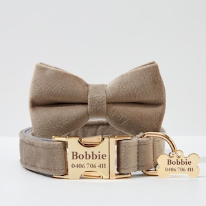 Op de afbeelding: Een beige fluwelen hondenhalsband met een gouden gesp en een bijpassende strik. De gesp is gegraveerd met de naam "Bobbie" en het telefoonnummer "0406 706 411". Een gouden botvormige tag met dezelfde naam en hetzelfde telefoonnummer is aan de halsband bevestigd.