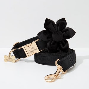 Black Velvet Flower Dog Collar Bow tie Flower Set, Personalized Collar and Leash with Name Engraved Metal Buckle