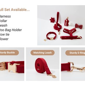 May include: A full set of red velvet dog accessories, including a harness, collar, leash, poo bag holder, bow tie, and flower. The accessories feature gold hardware and are arranged on a white background.