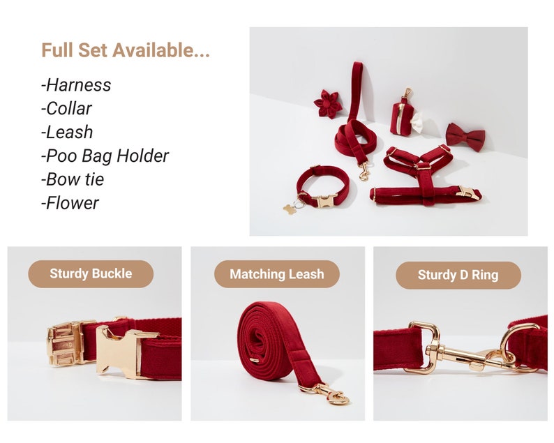 May include: A full set of red velvet dog accessories, including a harness, collar, leash, poo bag holder, bow tie, and flower. The accessories feature gold hardware and are arranged on a white background.
