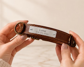Engraved Leather Dog Collar with Name Plate, Personalized Dog ID Collar for Small Large Dogs