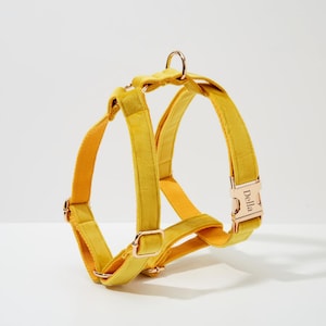 Yellow Velvet Dog Harness and Leash Set, Personalize Step In Puppy Harness+Collar+Bowtie+Poo Bag Holder, No Pull Wedding Harness Bundle