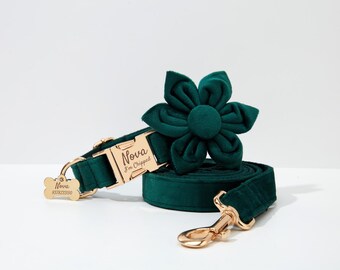 Emerald Dog Collar Boy,Custom Dog Collar Bow, Personalized Dog Collar, Dog Bow tie ,Small Dog Collar, Puppy Collar Girl Dog Collar and Leash