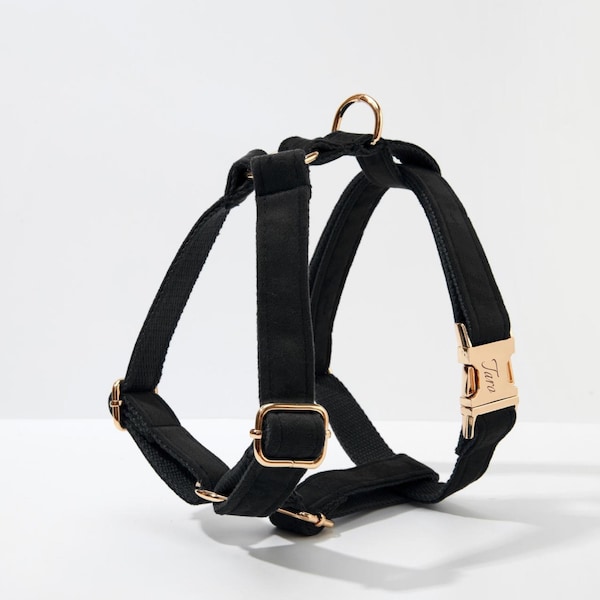 Black Velvet Personalised Harness With Gold Hardware,Luxurious Velvet Harness Dog Collar and Leash Set for Large Small Puppy, Free Shipping