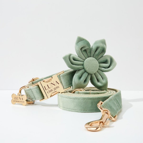 Sage Green Velvet Personalize Dog Collar Leash Flower Bow for Small Medium Large Pet,Custom Puppy Collar Leash Flower For Wedding Puppy Gift