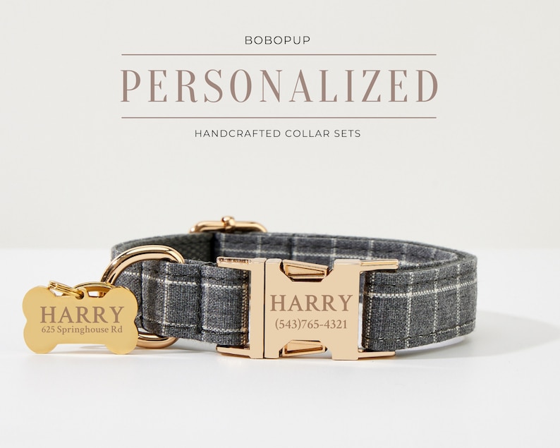 May include: A gray and white plaid dog collar with a gold buckle and a gold bone-shaped tag that says "HARRY" and "625 Springhouse Rd". The collar also has a gold tag that says "HARRY" and "(543) 765-4321".