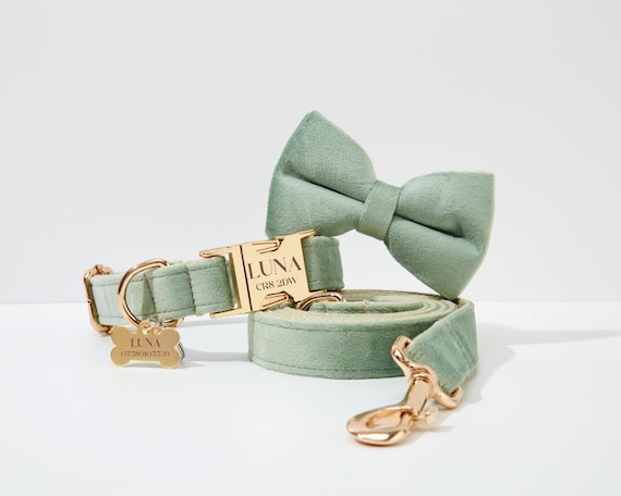 Imbracatura Per Cani Pettorina Imbottita Per Cani Piccoli/medi - Riflettente, Regolabile, Con Guinzaglio - Morbida E Sicura Pettorina Per Cani