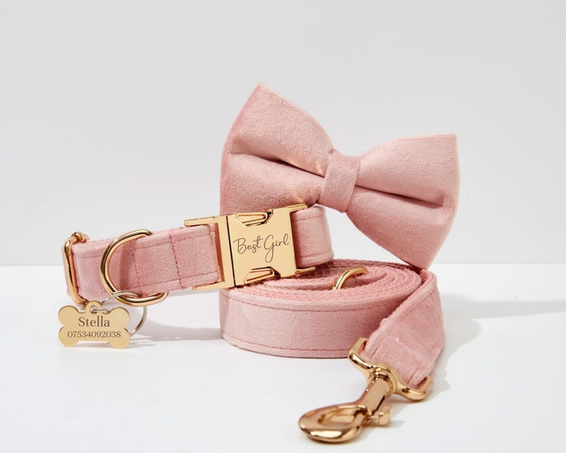Baby Pink Velvet Personalized Harness With Gold Hardware,Fancy Velvet Harness Dog Collar and Leash Set for Large Small Puppy, Free Shipping image 4